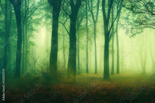 misty foggy autumn forest  wam colors  beautiful nature background wallpaper