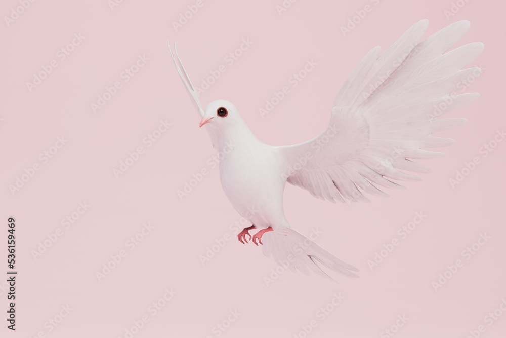 a white dove of peace on a pastel background. copy paste, copy space. 3D render a white dove of peace on a pastel background. copy paste, copy space. 3D render