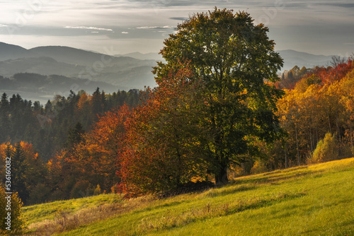 autumn in the mountains