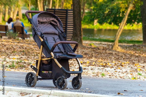 baby stroller on the background of fallen leaves in the park