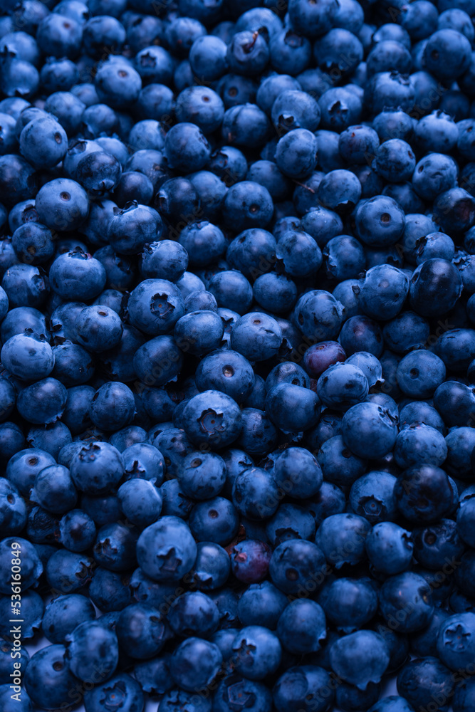 Fresh blueberry background. Texture blueberry berries close up. Fresh blueberry background. Texture blueberry berries close up.