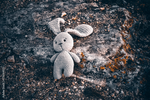 lost toy hare is lying on the ground, an abandoned hare toy