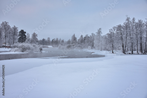 Winter in a spruce forest, spruces covered with white fluffy snow. Selective focus. Winter Landscape with Snow and Trees. Snow covered trees in forest during winter