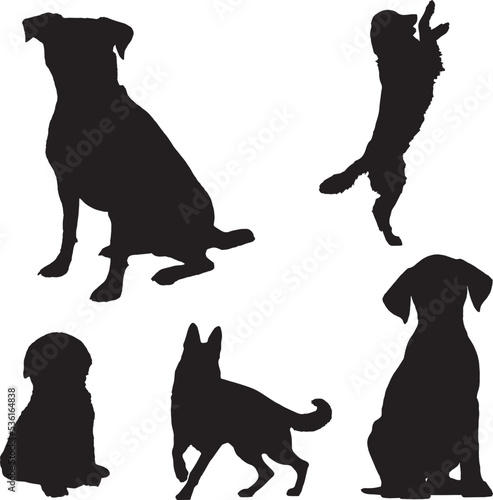 black silhouette of a dog, collection vector, isolated on white background photo