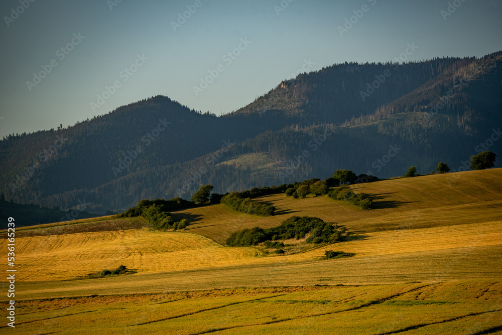 landscape in the mountains