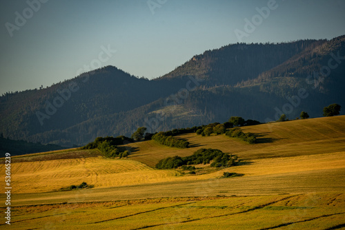 landscape in the mountains