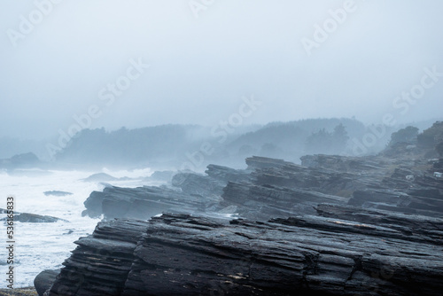 Paisaje de la costa rocosa con rocas metamórficas mirando al mar con espuma y niebla húmeda de la costa en ascenso hacia el bosque de fondo en día de lluvia y nubes en ambiente frío al sur de chile