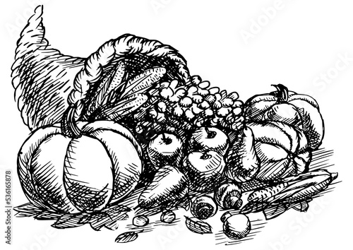 Photos Vegetables harvest sketch style PNG illustration with transparent background