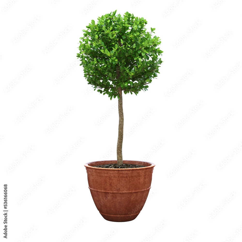 Obraz premium decorative flower in a pot isolated on white background, 3D illustration, cg render