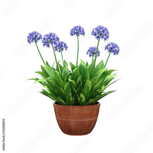 decorative flower in a pot isolated on white background  3D illustration  cg render