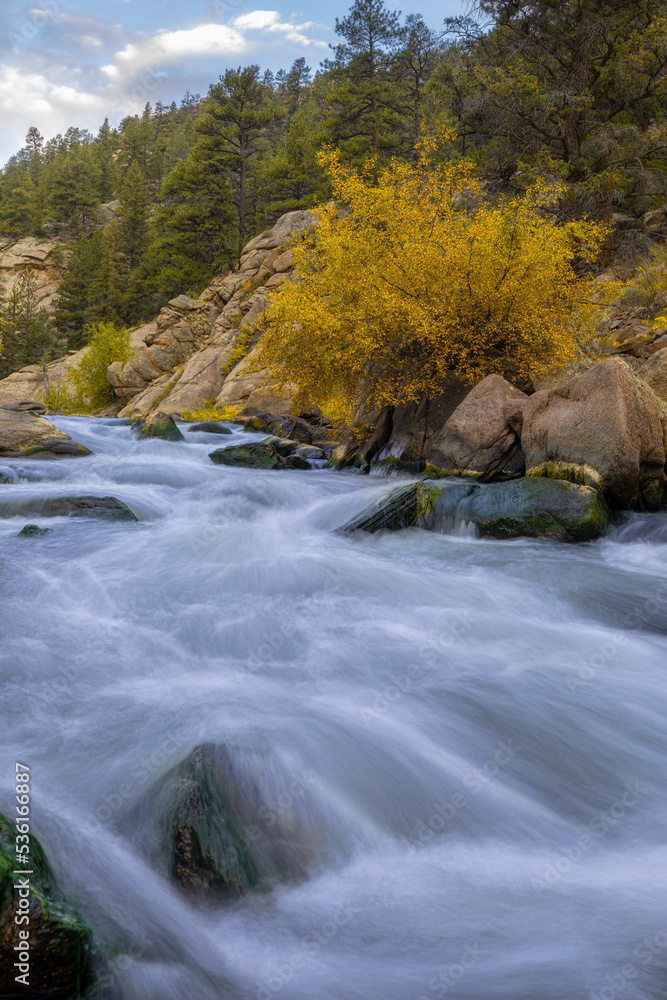 flowing mountain river in the fall flowing mountain river in the fall