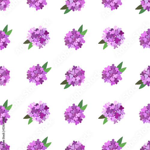 Iberis. Floral seamless pattern with purple petals. Polka dot on the white background.
