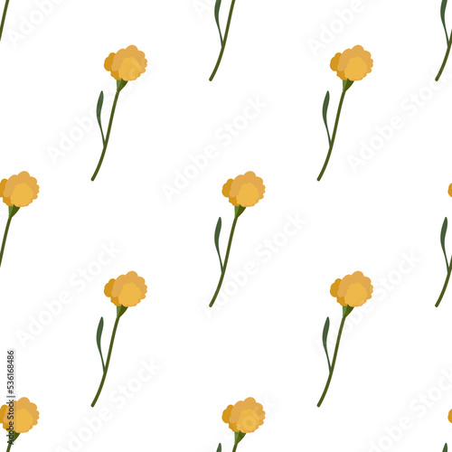 Fototapeta Naklejka Na Ścianę i Meble -  Statica flowers. Floral seamless pattern with yellow limonium. Dried flowers