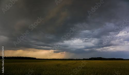 The beginning of a summer storm. A rush of clouds  a stream of rain  a thunderstorm  a storm. In the fields.