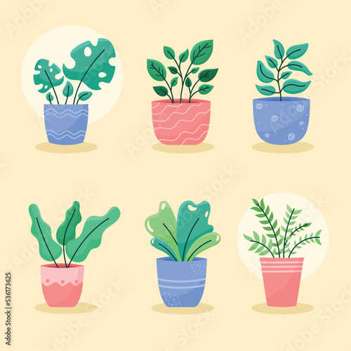 six houseplants in pots