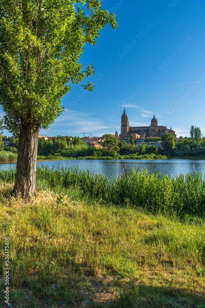 View of the city of Salamanca in Spain, with the Tormes river and the cathedral