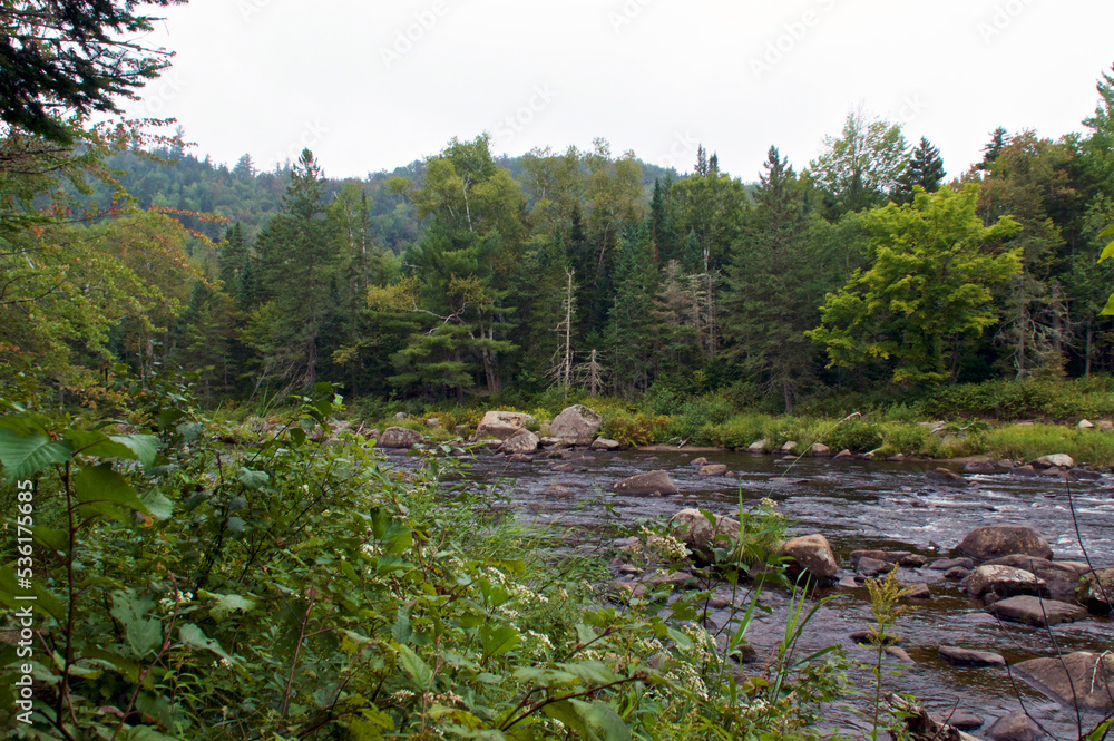 Obraz premium Beautiful scenic view of the river running through the Quarry Hiking trail in wilmington new york, showing lush deep wild forest.