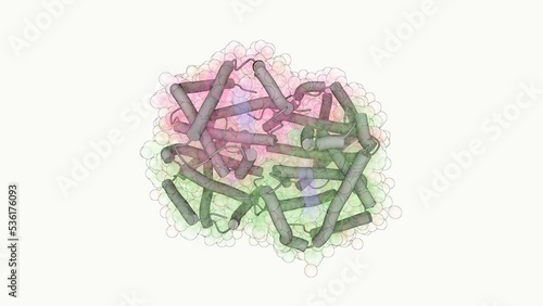 Scientifically accurate 3D molecular model of a hemoglobin enzyme. Hemoglobin is the iron-containing oxygen-transport metalloprotein in red blood cells. photo