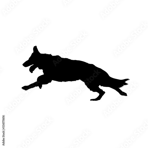 silhouette of a running dog © KR Studio