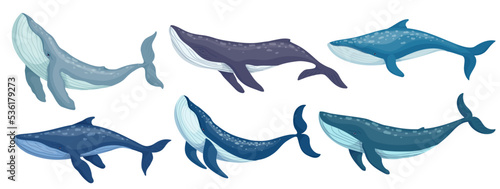 Blue whale marine mammal collection.Cartoon vector graphic.