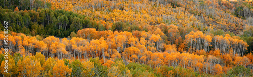Fall in the Steens Mountain  photo