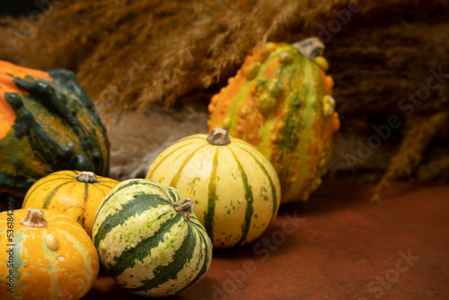 Small pumpkins on an oxide background photo