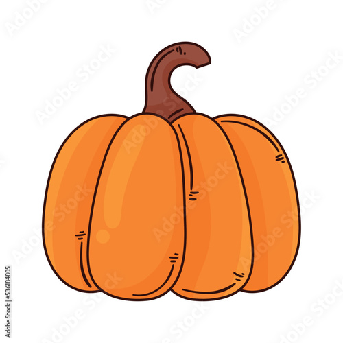 pumpkin vegetable autumn season
