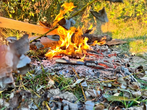 fire in the forest