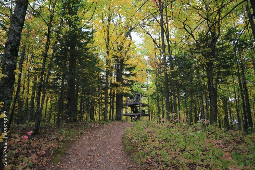 Naklejka premium Copper Falls View Tower