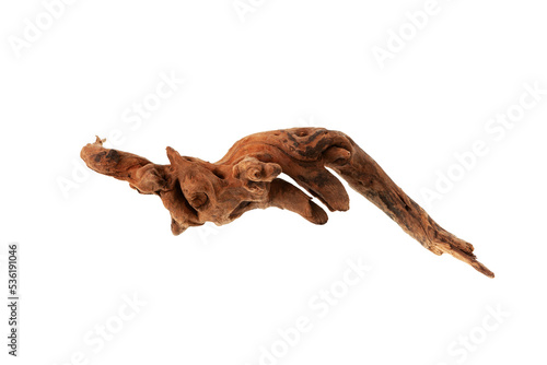 Decorative element for aquarium decoration. Wooden snag, Driftwood or aged wood isolated on white background. Selective focus, copy space