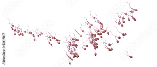 Human sperm cells flow, 3d render. Sperm, isolated on a white background.