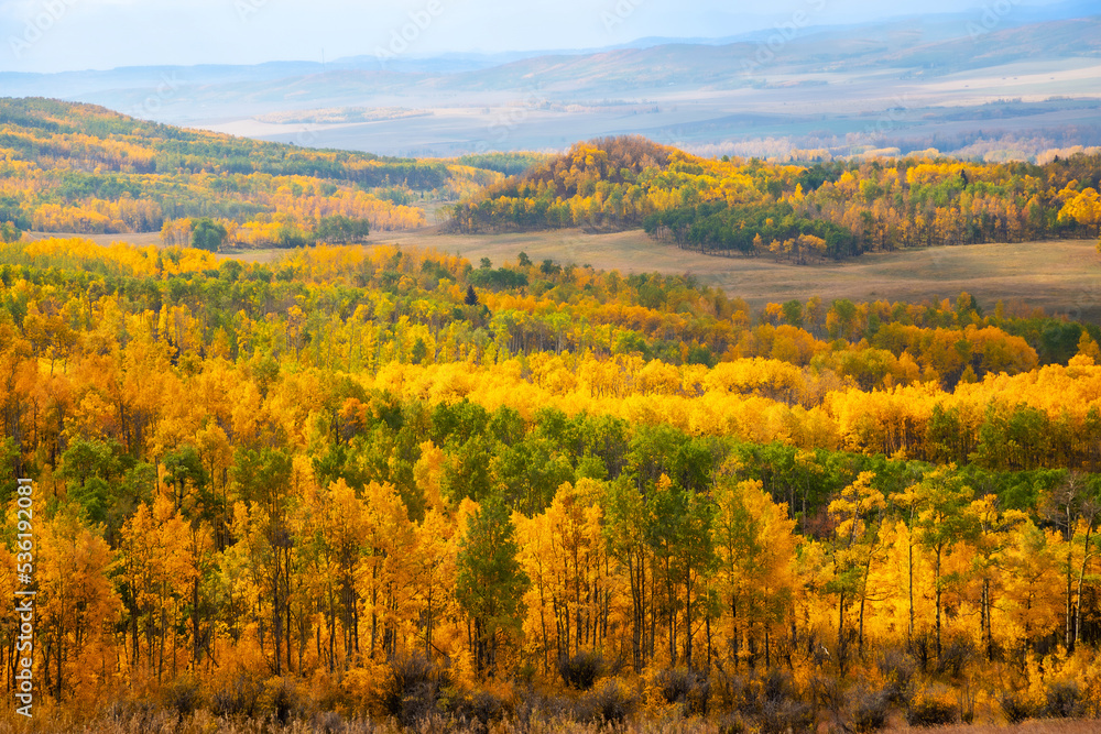 Beautiful Alberta Prairie Landscape in Autumn Colors near Calgary and Banff in the Canadina Rockies