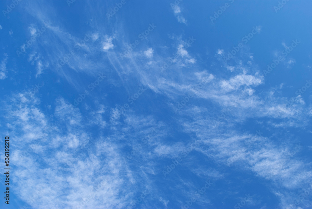 Fototapeta premium gentle white clouds in a bright blue sky