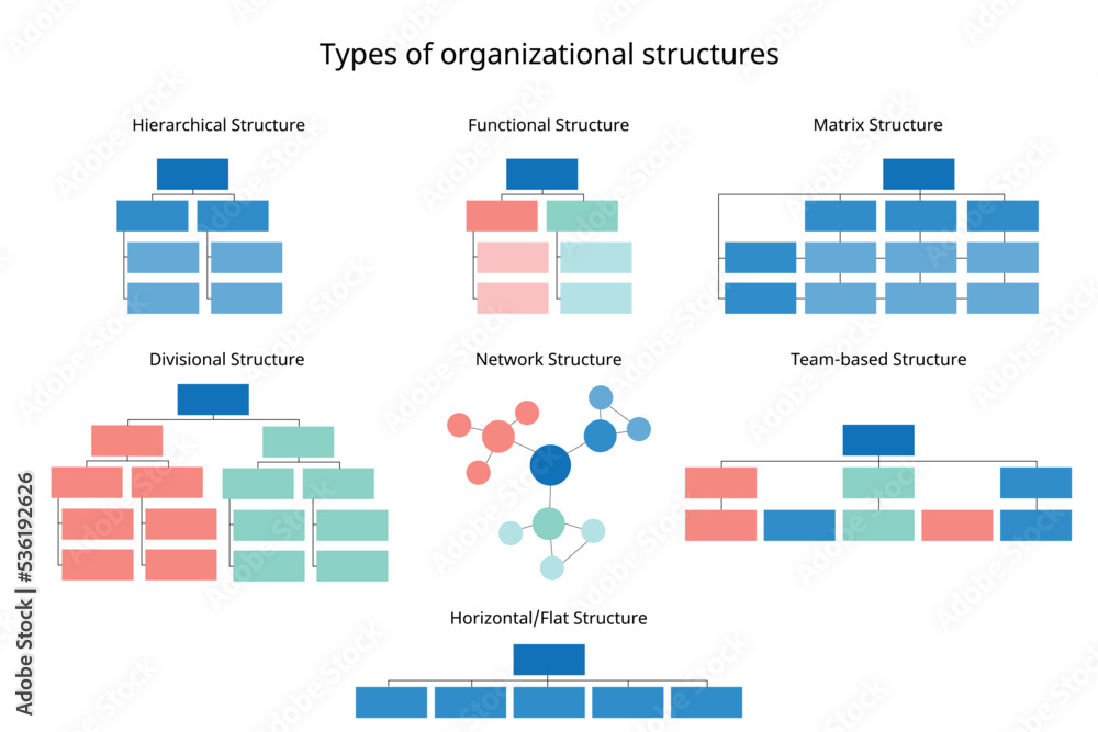7 types of organizational structures to organize the company organization chart - obrazy, fototapety, plakaty 