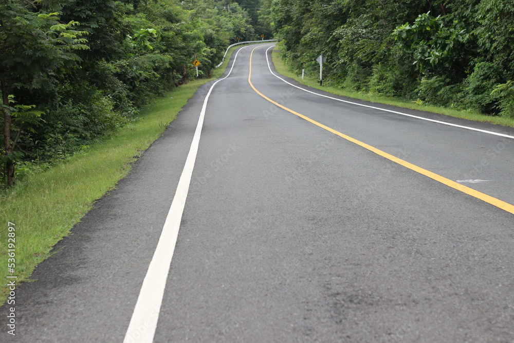 Asphalt road curve in the forest