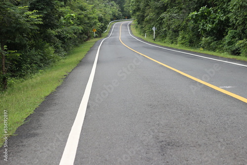 Asphalt road curve in the forest