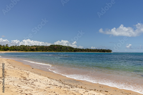 natural landscape in the district of Trancoso in the city of Porto Seguro  State of Bahia  Brazil