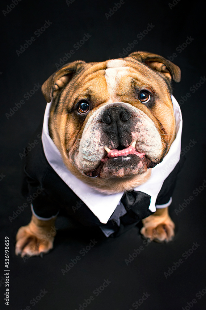 Obraz premium PERRIN