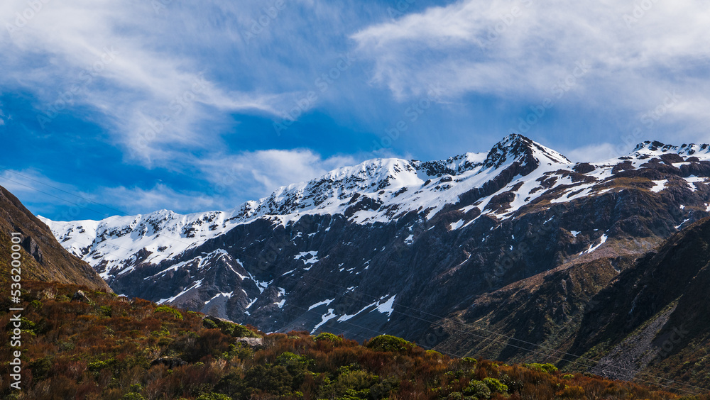 Fototapeta premium park country