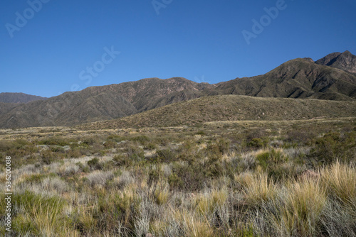 View of the green field and hills under a clear blue sky.