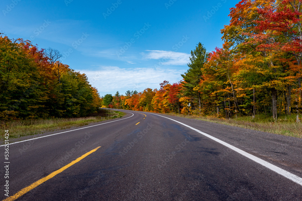 Fototapeta premium Fall color from middle of road with blue sky