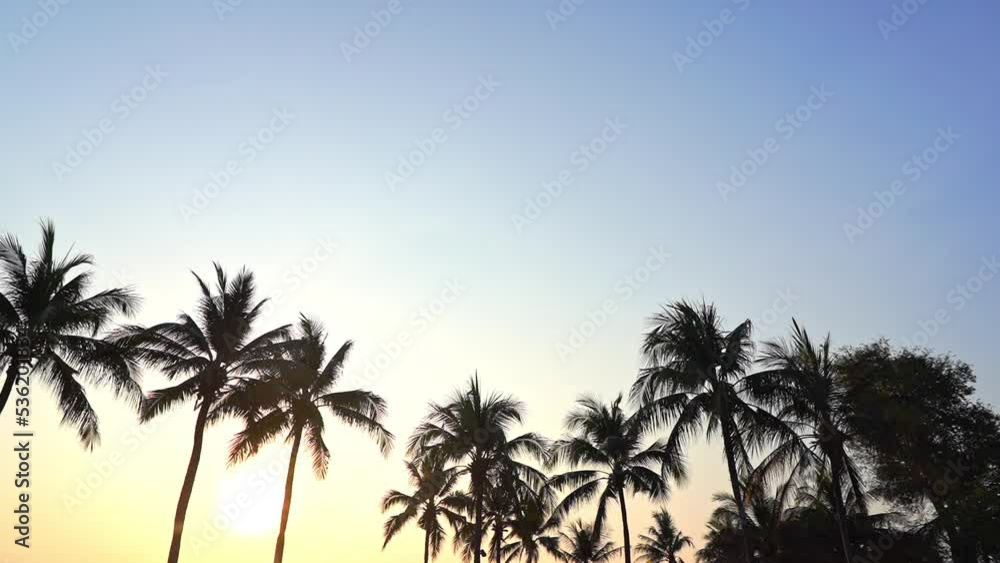 Golden Hour Sun and Silhouettes of Palms and Coconut Trees on Exotic Travel Destination Golden Hour Sun and Silhouettes of Palms and Coconut Trees on Exotic Travel Destination