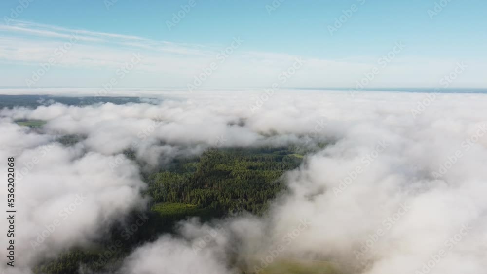 Mist fog clouds from above aerial view over seasonal autumn forest low morning sunlight Mist fog clouds from above aerial view over seasonal autumn forest low morning sunlight