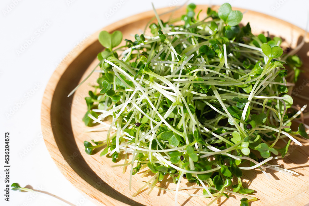 Organic kale sprouts. Healthiest vegetables concept Organic kale sprouts. Healthiest vegetables concept
