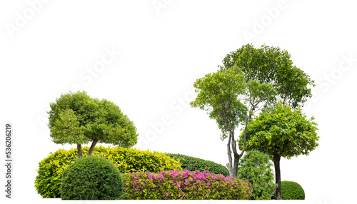 Colorful shrubs, ornamental plants, gardens or parks. isolated on .transparent background cut path