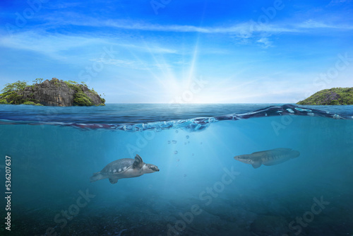 Fototapeta Naklejka Na Ścianę i Meble -  BLUE UNDER WATER waves and bubbles. Beautiful white clouds on blue sky over calm sea with sunlight reflection, Tranquil sea harmony of calm water surface. Sunny sky and calm blue ocean.