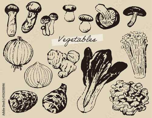 Vegetables2