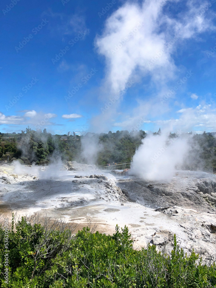 Rotorua geothermal hot spring geyser erupting and thermal mud pools., North Island, New Zealand