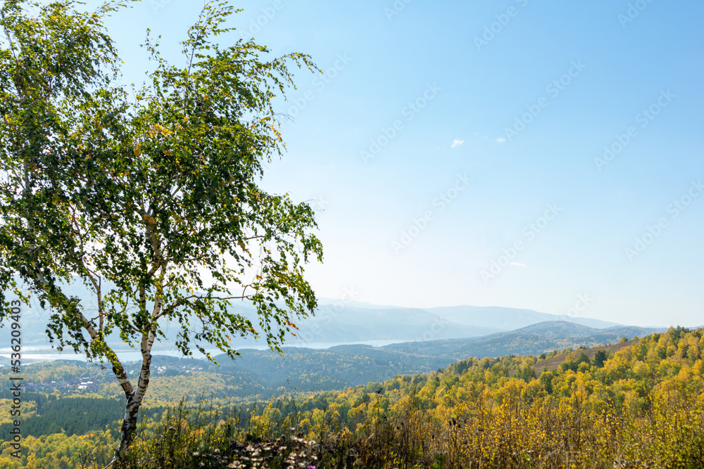 Autumn landscape. A lonely birch tree. View of the autumn river valley. Autumn landscape. A lonely birch tree. View of the autumn river valley.