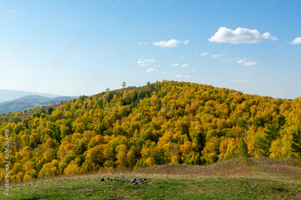 Autumn landscape. View of the forested hills. Siberian autumn forest.